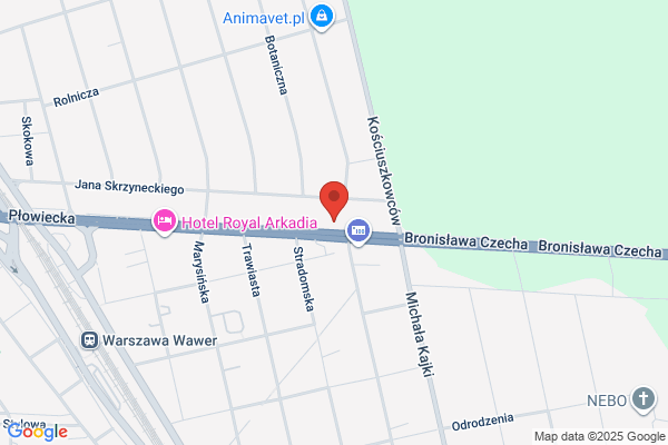 Czekoladowe fontanny, catering, fontanny szampanskie
