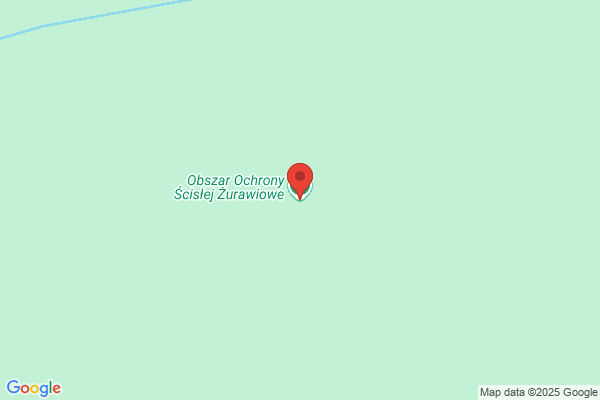 Nowy Zielony Kampinos. Sp. z o.o.
