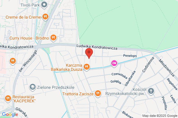 Radix. Dezynsekcja, pranie dywanów i tapicerki. Wenek J.