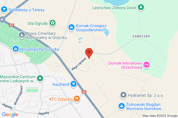 Ratkor. Dezynfekcja, dezynsekcja, deratyzacja. Korc W.