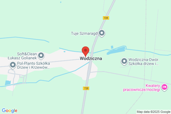 Lewandowski Witold. Doradztwo techniczne
