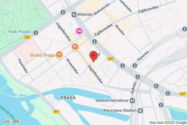 Drewniak. Listwy, parkiet, parapety. Skalski M.