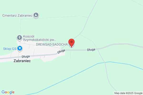Drewsad. Sadowski M.
