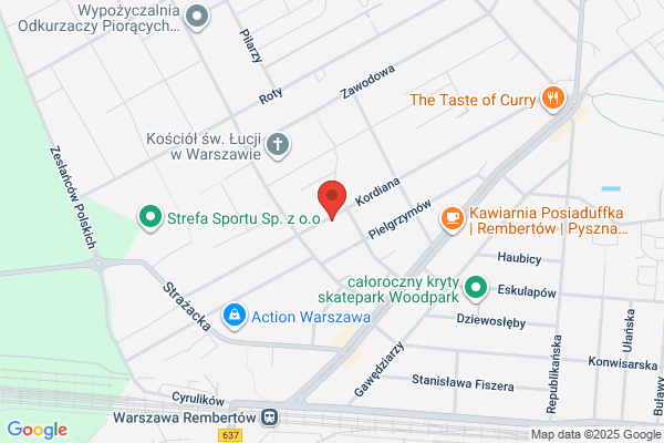 Majsterkowicz. Wielogórski