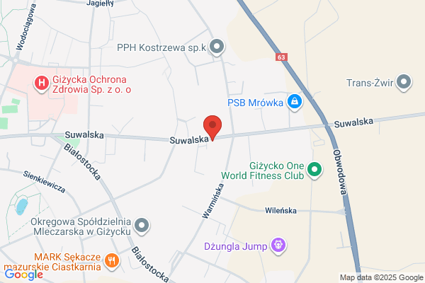 Zaklad Transportu i Spedycji Lasów Panstwowych. Lasy Panstwowe