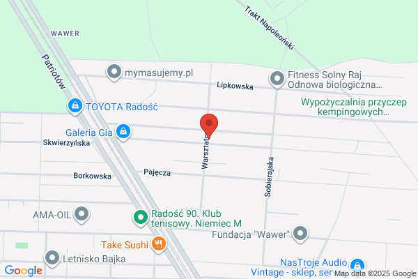 Radosc-Druk. Poligrafia. Zapolska-Piechowicz L., Kolenkiewicz J.