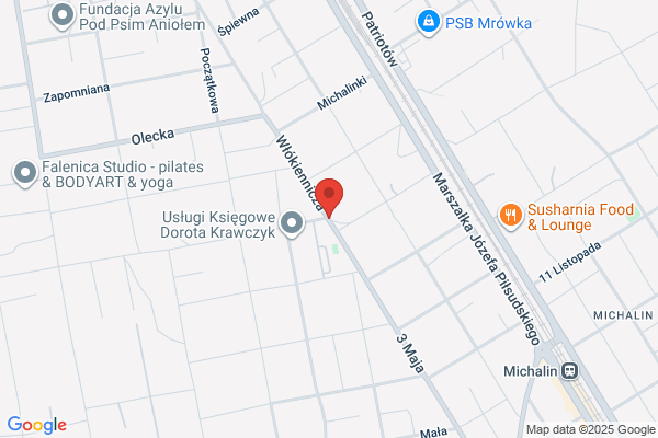 Belka D. Uslugi dzwigowo - transportowe. Wynajem kontenerów