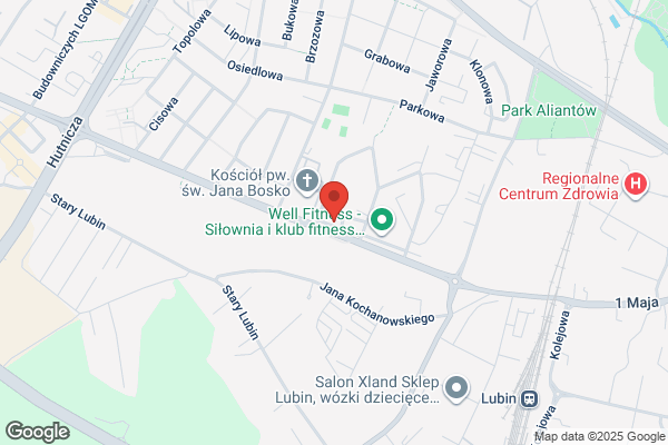 Poldzwig. Sp. z o.o. Centrum produkcji uslug technicznych