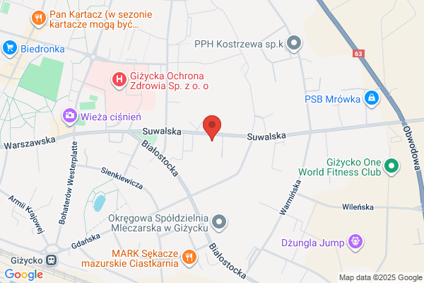 Vibex-Service. Elektronarzedzia, maszyny spalinowe, agregaty pradotwórcze