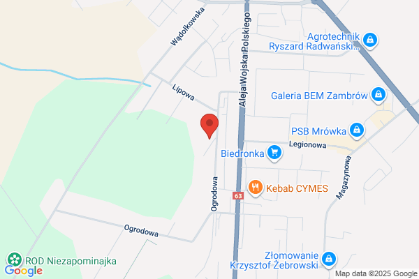 Lubowiecki Dariusz. Elektrotechnika