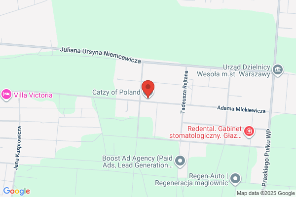 Catzy of Poland. Przedsiebiorstwo zagraniczne. Wyposazenie gabinetów fryzjerskich