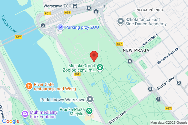 Panda. Fundacja Rozwoju Warszawskiego Ogrodu Zoologicznego