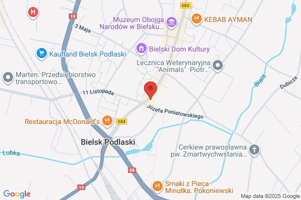 Bielski Piotr. Uslugi geodezyjno - kartograficzne