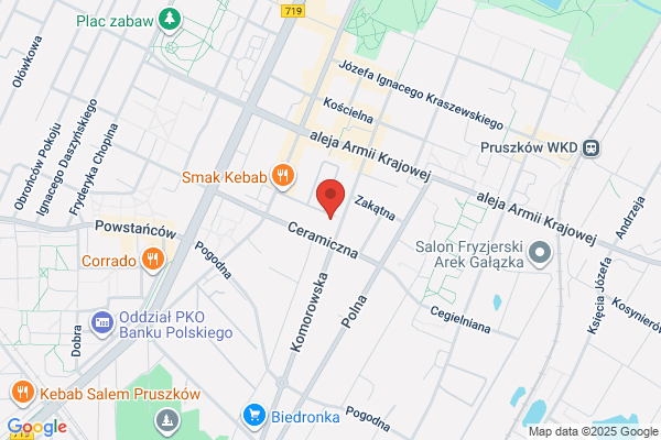 Geonet. Uslugi geodezyjno - kartograficzne. Rudzik A.