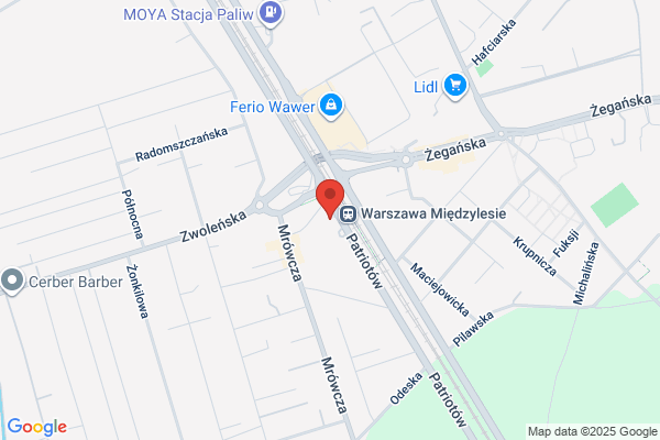 Pracownia uslug geodezyjnych i kartograficznych. Woroniecki Lech