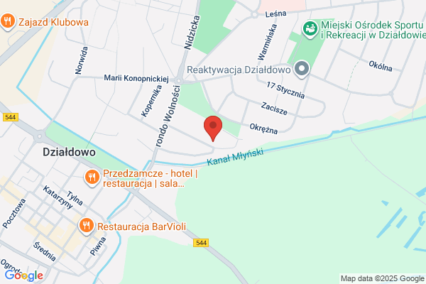Skalmiar. Uslugi geodezyjno - kartograficzne. Borucki D.