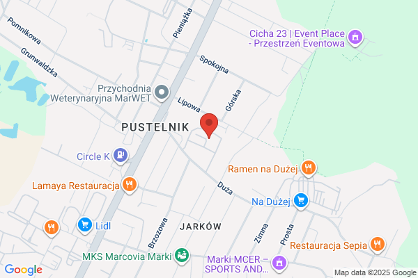Elmax. Firma elektroinzynieryjna