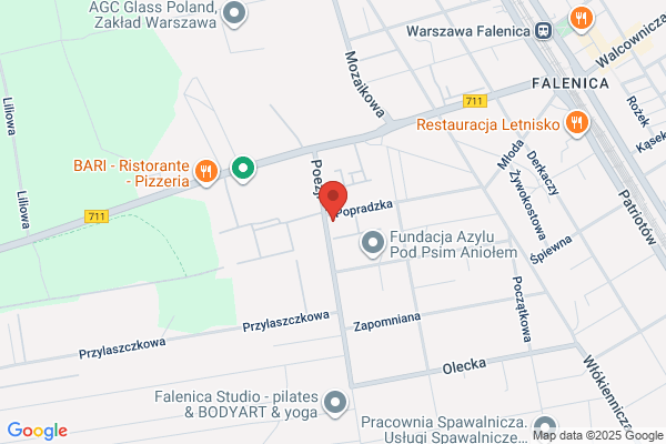 Witzenmann Polska. Sp. z o.o.