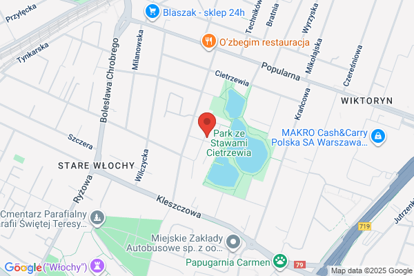 Transmisja internetowa onestream