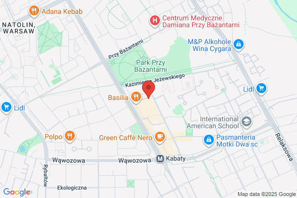 E-Warsaw.com. Domzalski T.