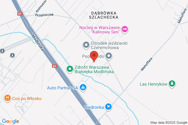 Gryglewicz Paulina. Nauka i tlumaczenia jez. angielskiego