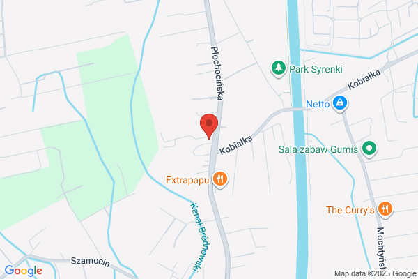 Lewandowski Zenon. Drogowy przewóz towarów