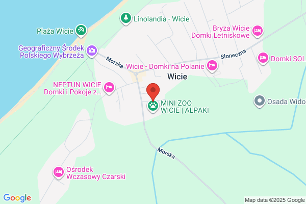 Zacisze. Pole namiotowe