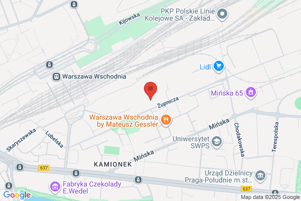 Webster SC. Szczupak A., Zych G.