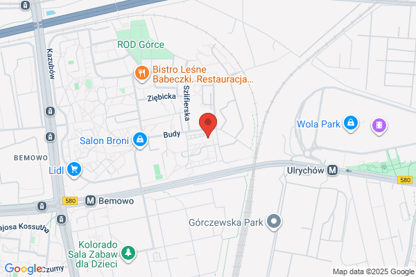 Biuro uslug informatycznych