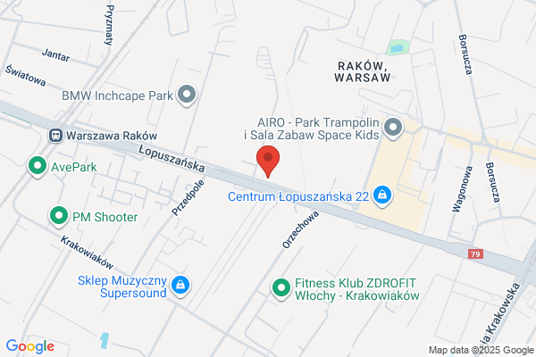 Pych International Electronics. Sp. z o.o.