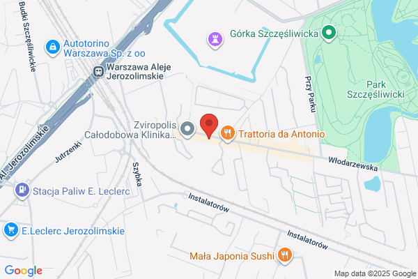 Stokrotka. Studio kwiatowe