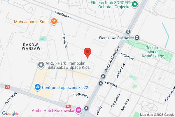 Aster. FHU. Hurtownia kwiatów doniczkowych