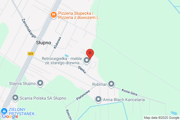 Sakowski Ryszard. Lakierowanie proszkowe metali i szkla