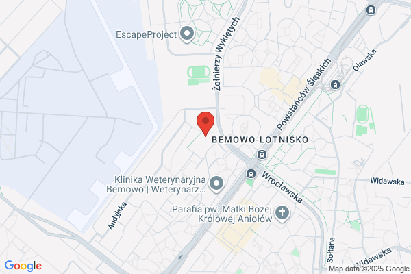 Berdowska Alina, lek. med. Spec. laryngolog