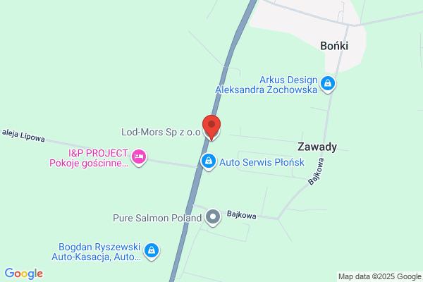 Lokis SC. Hurtownia lodów, mrozonek i ryb