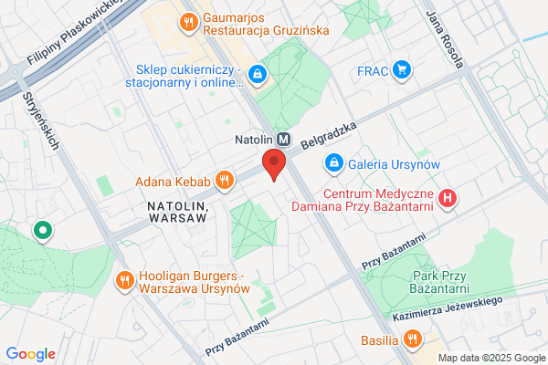 Data Force Group SC. Wyborscy P.P.