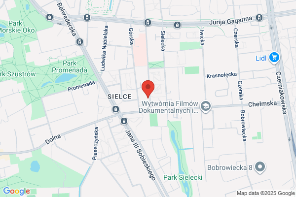 Smakosz. Sprzedaz miesa i wedlin. Buczynski H.