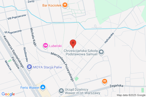 Ulmer. S.j. Producent mrozonych owoców
