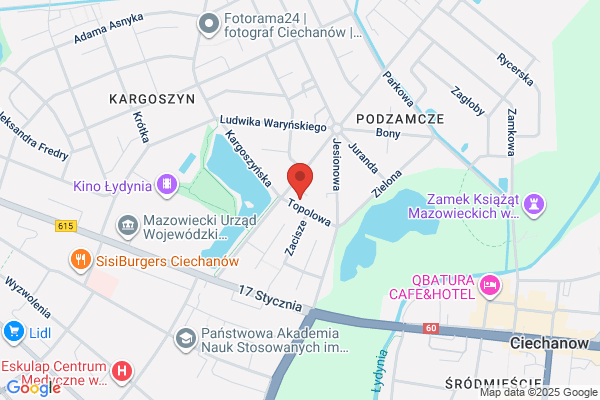 AS. Autoszkola. Filipowicz A.