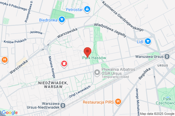 Auto Dyziol. Nowakowski P.