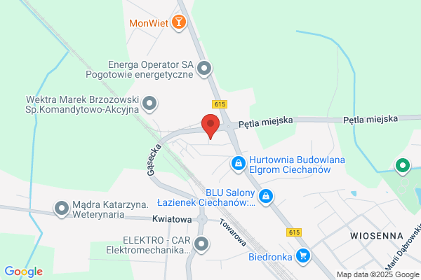 Leady. Osrodek szkolenia kierowców. Ogonowska M.