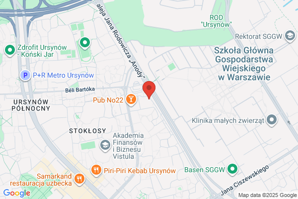 Spiewak J.W. Nauka jazdy