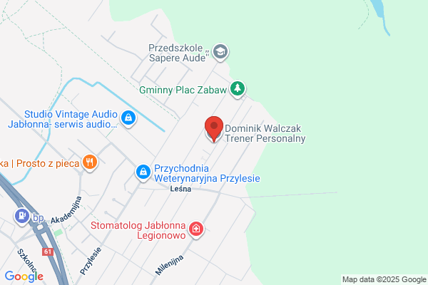 Walkrys Security. Agencja ochrony osób i mienia
