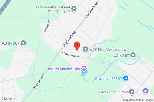 SDS. Projektowanie, zakladanie i pielegnacja ogrodów