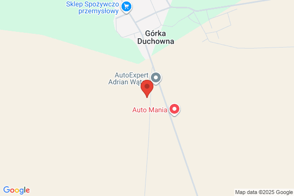 Wojciechowska Bozena. Firma uslugowa