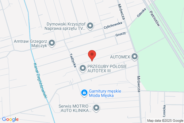 Elis Malgorzata. Pozlotnictwo, ramy stylizowane, renowacje