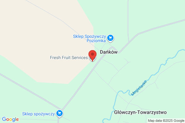 Fresh Fruit Services. S.j. Hermanowicz M., M., Ryckaert A.