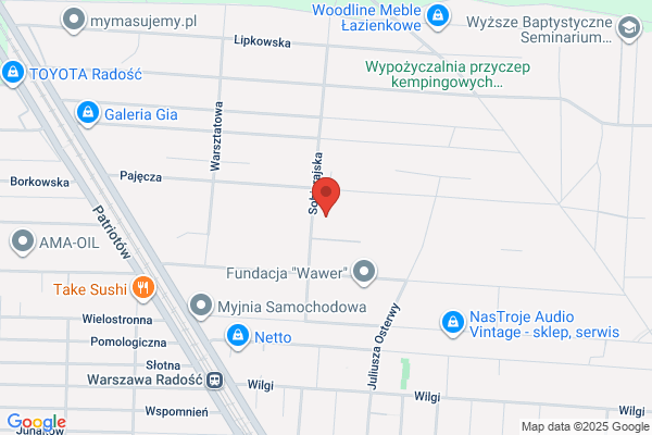 Ferber-Dorocinska Swietlana, artysta plastyk