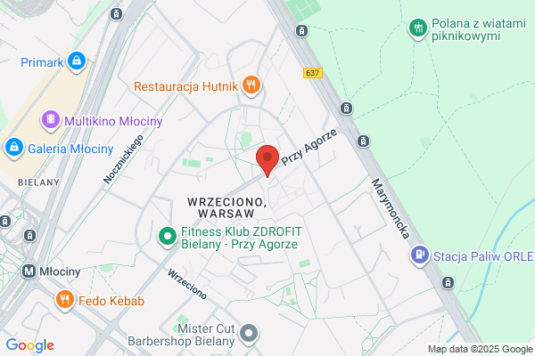 Guziakowski Wieslaw. Serwis wózków podnosnikowych
