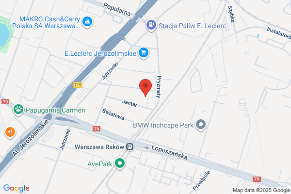 TTM Elektronika i Automatyka. Sp. z o.o. Cyrkonowe analizatory